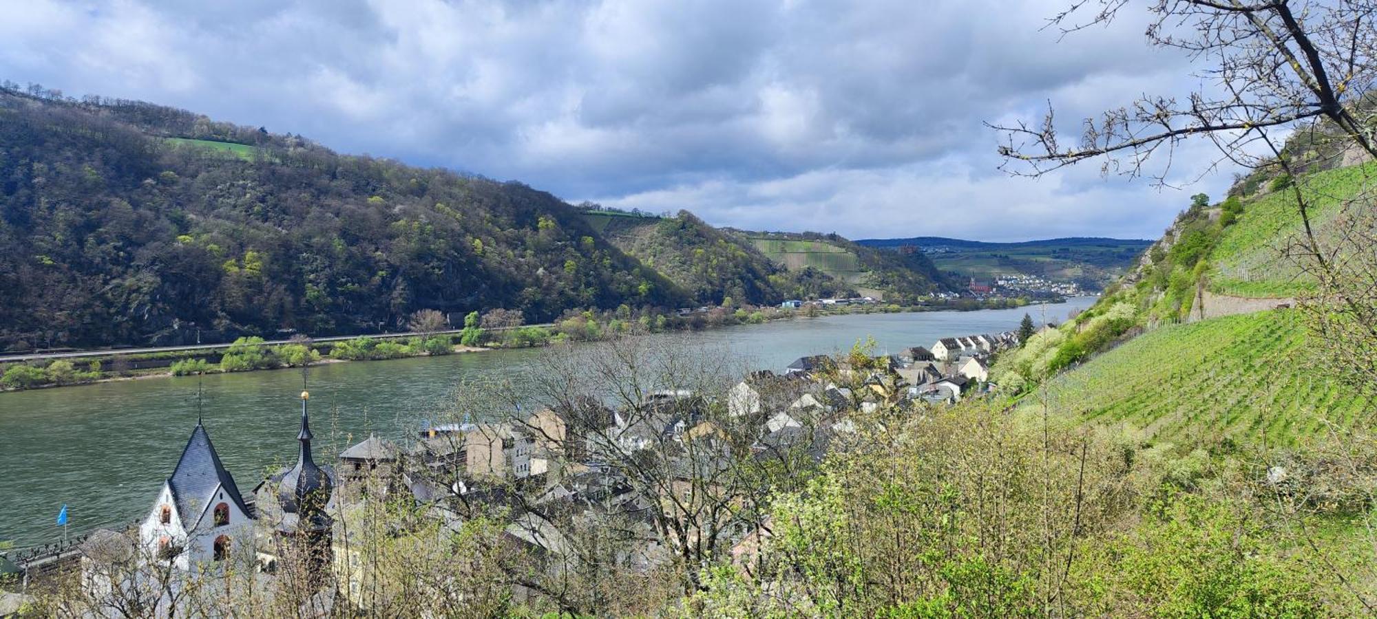 Gemuetliche Wohnung, Kueche, Bad, Netflix, Rheinblick Kaub Exterior foto